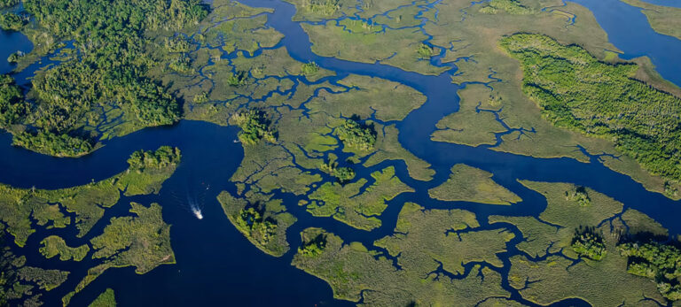 First Florida fishing charter