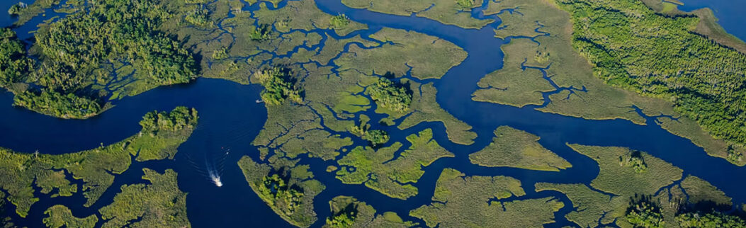 First Florida fishing charter